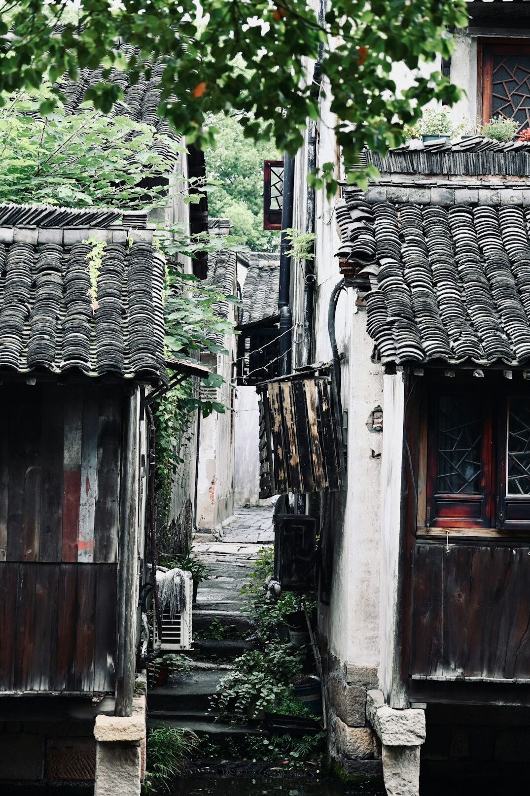 hidden village stories