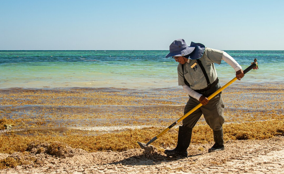 fisherman cleaning beach